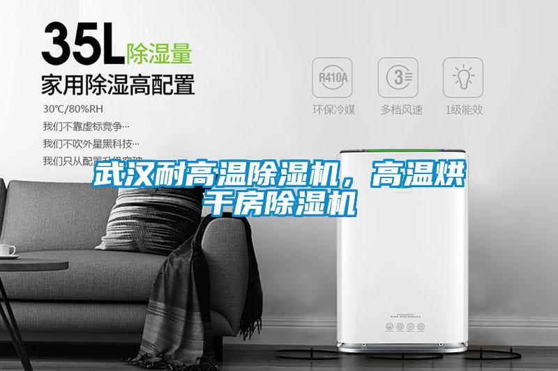 武漢耐高溫除濕機(jī)，高溫烘干房除濕機(jī)