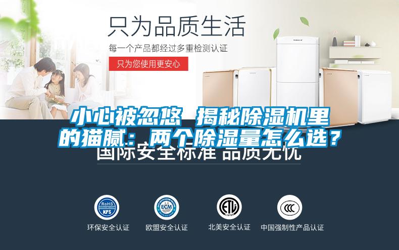 小心被忽悠 揭秘除濕機里的貓膩：兩個除濕量怎么選？