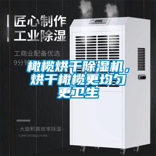 橄欖烘干除濕機，烘干橄欖更均勻更衛(wèi)生