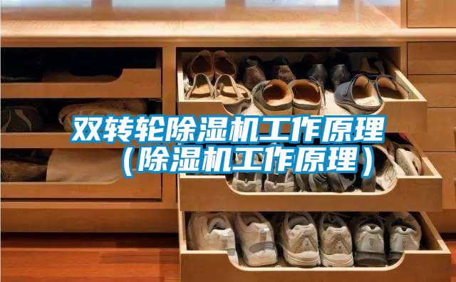 雙轉(zhuǎn)輪除濕機工作原理（除濕機工作原理）