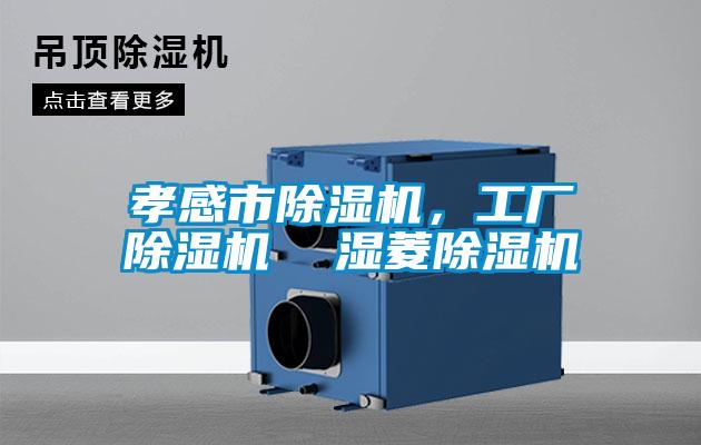 孝感市除濕機(jī)，工廠除濕機(jī)  濕菱除濕機(jī)