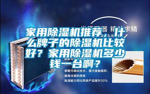 家用除濕機(jī)推薦，什么牌子的除濕機(jī)比較好？家用除濕機(jī)多少錢一臺(tái)?。?/></p>
						    <p style=