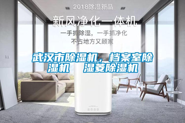 武漢市除濕機(jī)，檔案室除濕機(jī)  濕菱除濕機(jī)