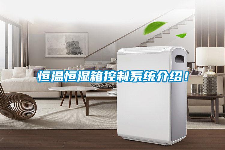 恒溫恒濕箱控制系統(tǒng)介紹！