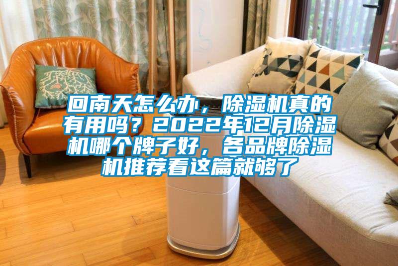 回南天怎么辦，除濕機真的有用嗎？2022年12月除濕機哪個牌子好，各品牌除濕機推薦看這篇就夠了