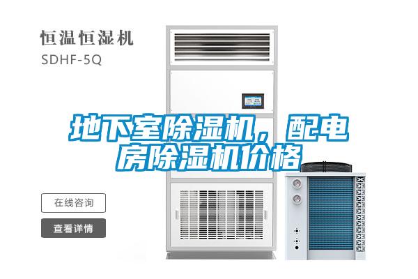 地下室除濕機(jī)，配電房除濕機(jī)價(jià)格