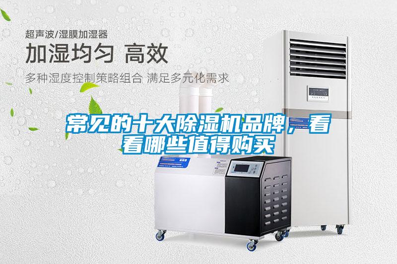 常見的十大除濕機(jī)品牌，看看哪些值得購買