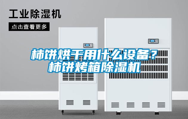 柿餅烘干用什么設(shè)備？柿餅烤箱除濕機(jī)