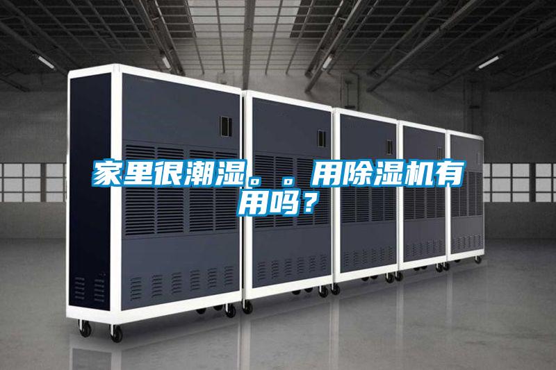 家里很潮濕。。用除濕機(jī)有用嗎？