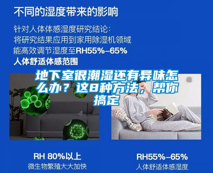 地下室很潮濕還有異味怎么辦？這8種方法，幫你搞定