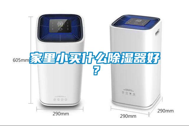 家里小買(mǎi)什么除濕器好？