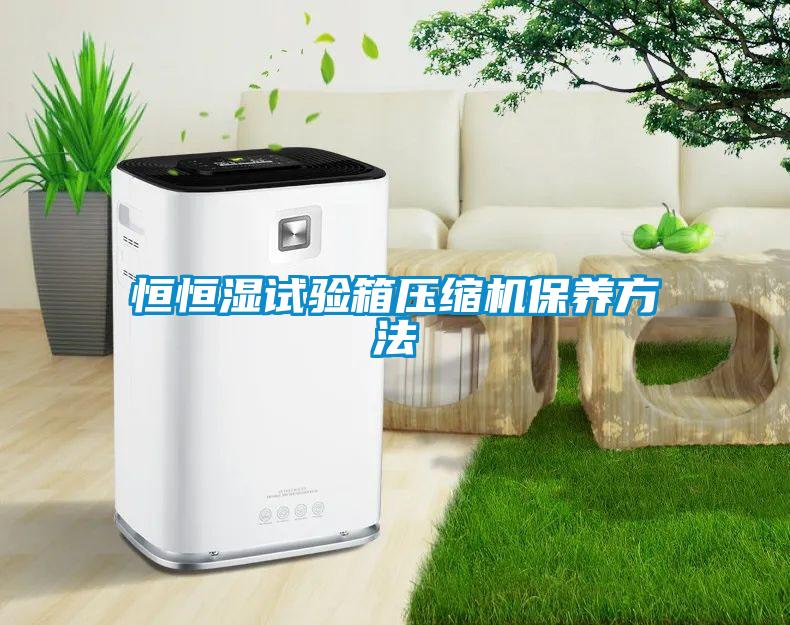 恒恒濕試驗箱壓縮機(jī)保養(yǎng)方法