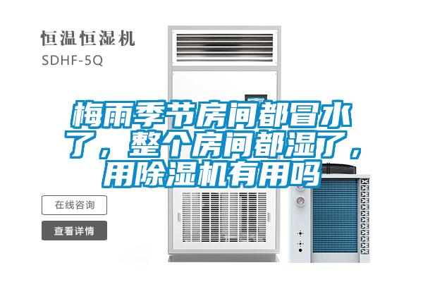 梅雨季節(jié)房間都冒水了，整個房間都濕了，用除濕機(jī)有用嗎