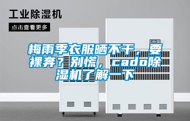 梅雨季衣服曬不干，要裸奔？別慌，cado除濕機(jī)了解一下