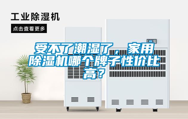 受不了潮濕了，家用除濕機(jī)哪個(gè)牌子性?xún)r(jià)比高？