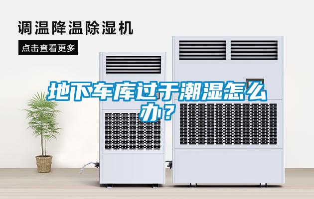地下車庫(kù)過(guò)于潮濕怎么辦？