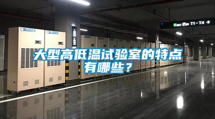 大型高低溫試驗(yàn)室的特點(diǎn)有哪些？