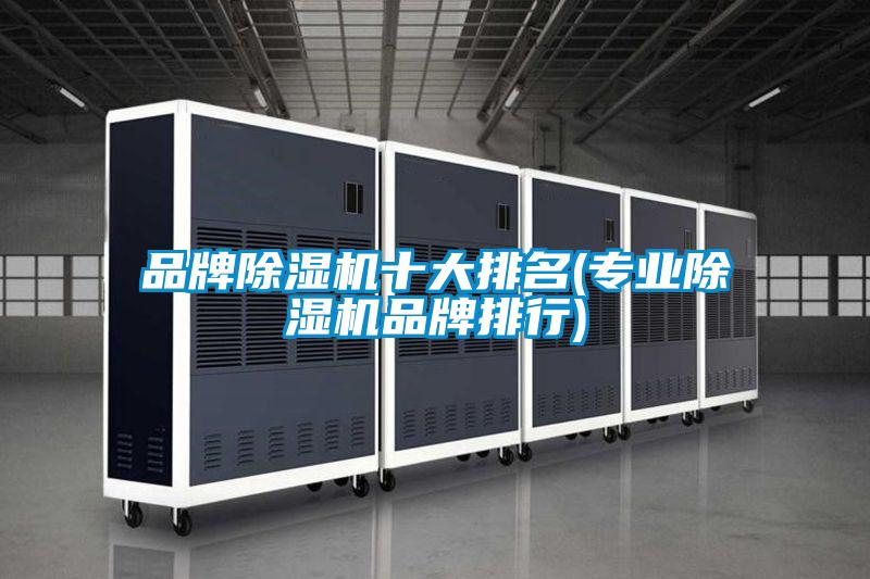 品牌除濕機(jī)十大排名(專業(yè)除濕機(jī)品牌排行)