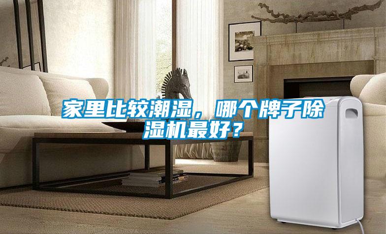 家里比較潮濕，哪個(gè)牌子除濕機(jī)最好？