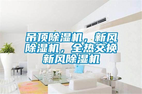 吊頂除濕機，新風除濕機，全熱交換新風除濕機