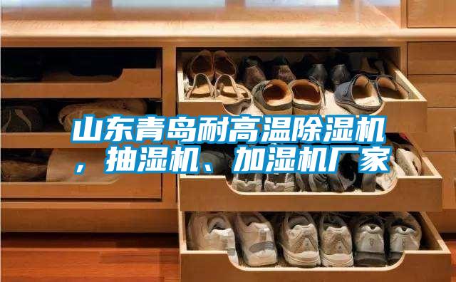 山東青島耐高溫除濕機，抽濕機、加濕機廠家
