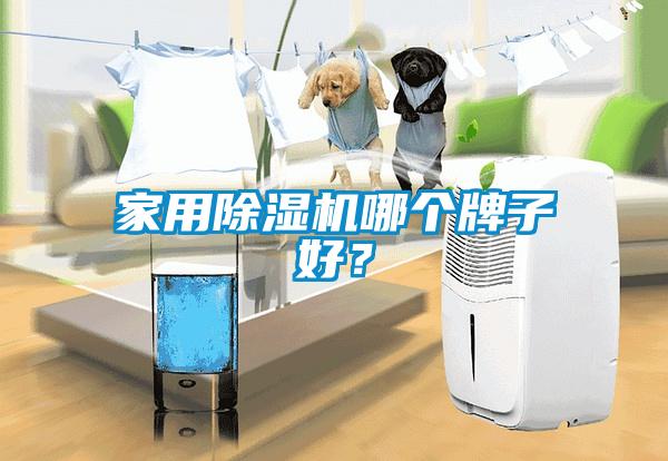 家用除濕機(jī)哪個(gè)牌子好？
