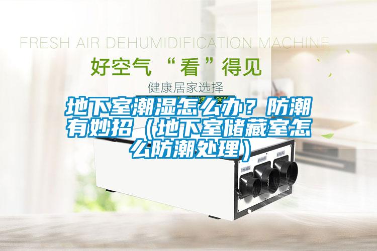 地下室潮濕怎么辦？防潮有妙招（地下室儲(chǔ)藏室怎么防潮處理）