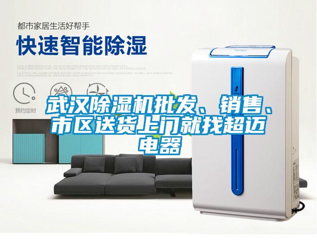武漢除濕機批發(fā)、銷售、市區(qū)送貨上門就找超邁電器