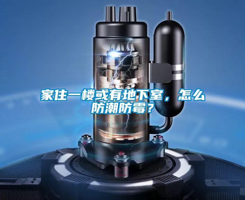家住一樓或有地下室，怎么防潮防霉？