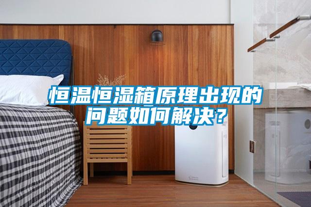 恒溫恒濕箱原理出現(xiàn)的問題如何解決？
