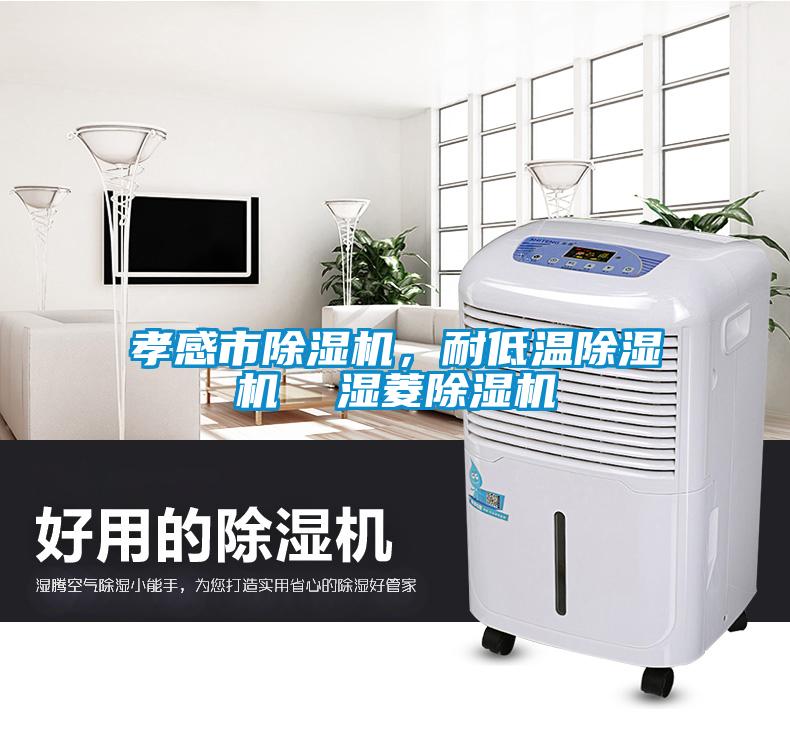 孝感市除濕機，耐低溫除濕機  濕菱除濕機