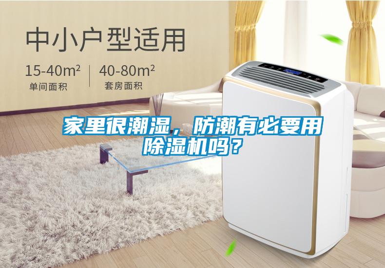 家里很潮濕，防潮有必要用除濕機(jī)嗎？