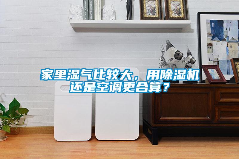 家里濕氣比較大，用除濕機(jī)還是空調(diào)更合算？