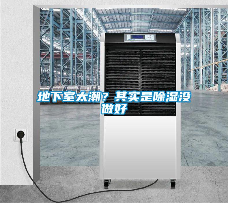 地下室太潮？其實是除濕沒做好