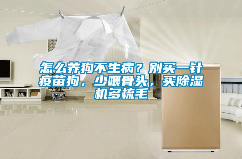 怎么養(yǎng)狗不生病？別買一針疫苗狗，少喂骨頭，買除濕機(jī)多梳毛