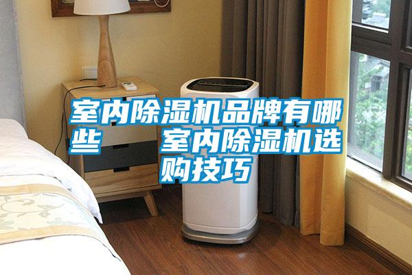 室內(nèi)除濕機品牌有哪些   室內(nèi)除濕機選購技巧