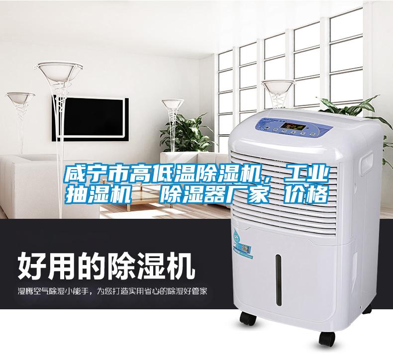 咸寧市高低溫除濕機(jī)，工業(yè)抽濕機(jī)  除濕器廠家 價(jià)格