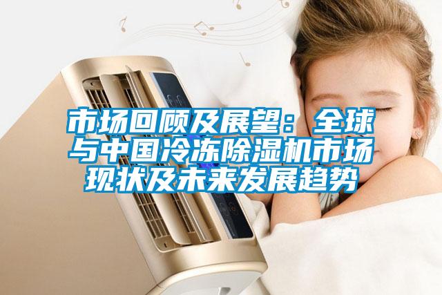 市場回顧及展望：全球與中國冷凍除濕機市場現(xiàn)狀及未來發(fā)展趨勢
