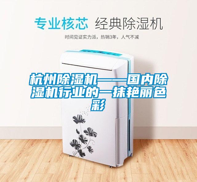 杭州除濕機——國內除濕機行業(yè)的一抹艷麗色彩