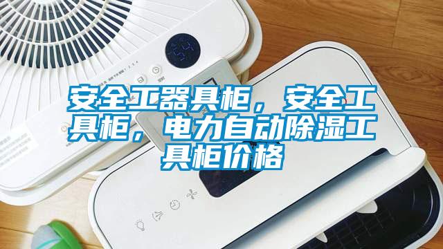 安全工器具柜，安全工具柜，電力自動(dòng)除濕工具柜價(jià)格