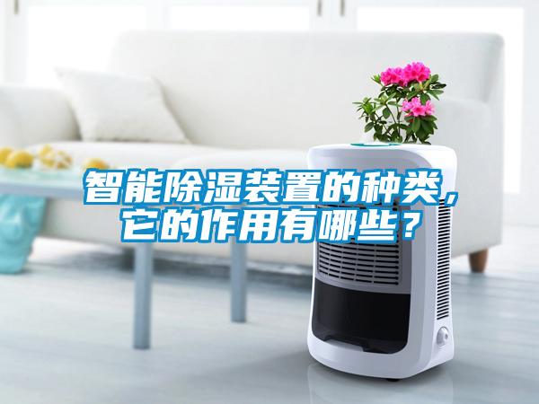 智能除濕裝置的種類，它的作用有哪些？