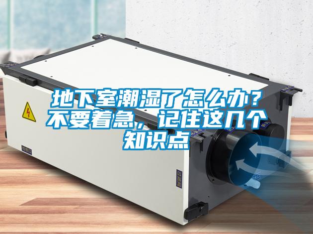 地下室潮濕了怎么辦？不要著急，記住這幾個(gè)知識(shí)點(diǎn)