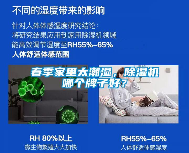 春季家里太潮濕，除濕機哪個牌子好？