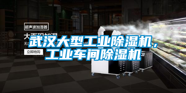 武漢大型工業(yè)除濕機(jī)，工業(yè)車間除濕機(jī)