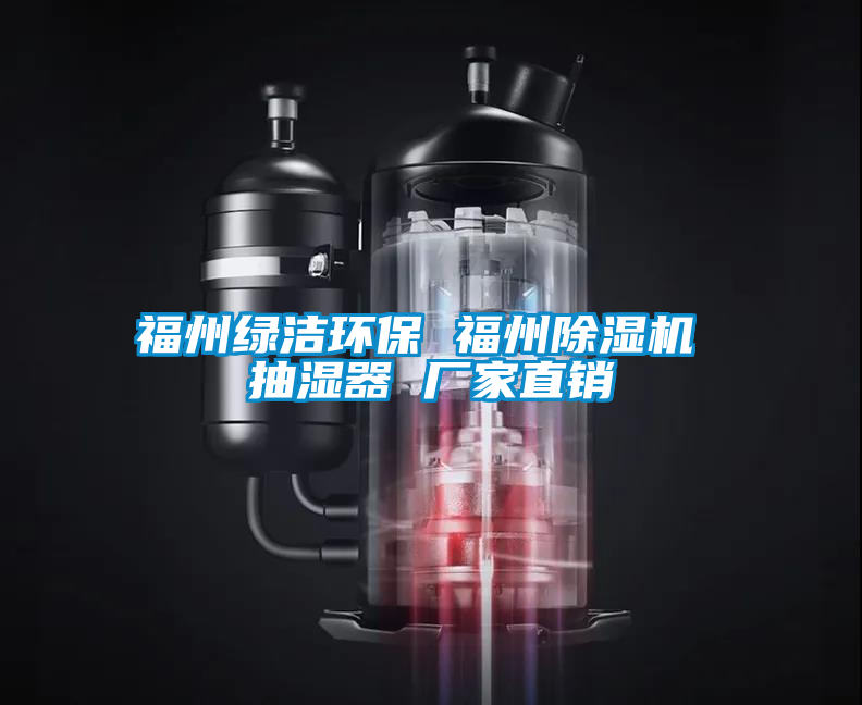 福州綠潔環(huán)保 福州除濕機(jī) 抽濕器 廠家直銷(xiāo)