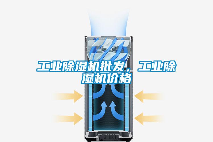 工業(yè)除濕機(jī)批發(fā)，工業(yè)除濕機(jī)價(jià)格