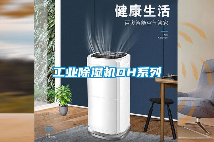 工業(yè)除濕機(jī)DH系列