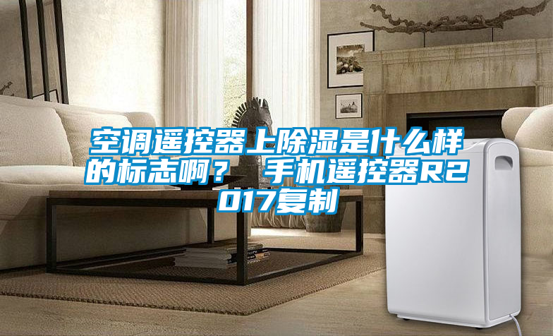 空調(diào)遙控器上除濕是什么樣的標(biāo)志??？ 手機(jī)遙控器R2017復(fù)制