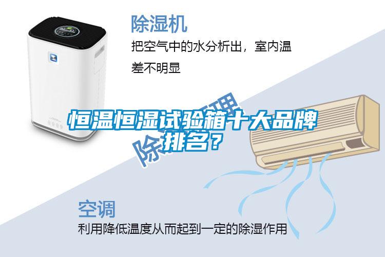 恒溫恒濕試驗箱十大品牌排名？