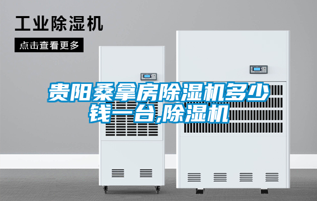 貴陽(yáng)桑拿房除濕機(jī)多少錢(qián)一臺(tái),除濕機(jī)
